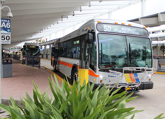 BCT Bus at Broward Central Terminal
