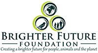Brighter Futer Foundation Logo