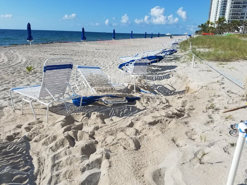 A sea turtle encountered beach furniture and did not lay a nest.