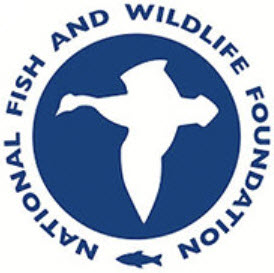 NFWF logo