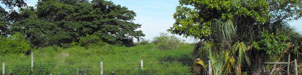 Parkland Margate Blount Archaeological Park