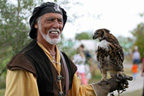 falconer and falcon at Renaissance Festival