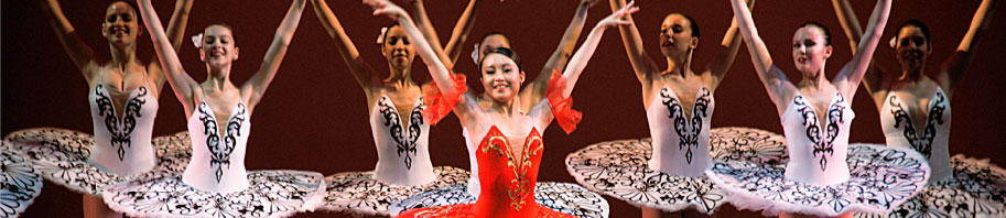 Arts Ballet Theatre of Florida