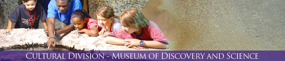 Museum of Discovery and Science