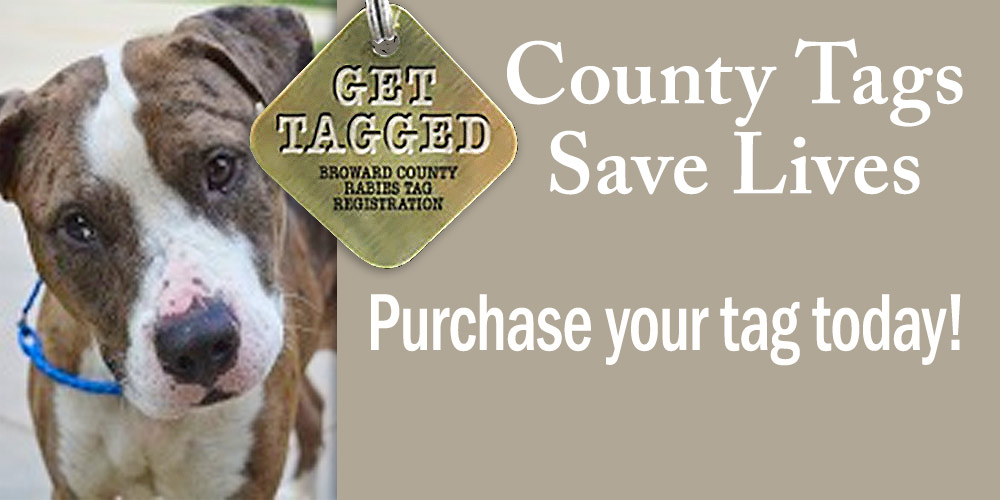 Quick Buy Program For Tagged Pets Autobuy Quick Buy Program For Tagged Pets Autobuy