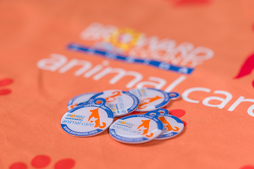 Purchase Your Pet Tag