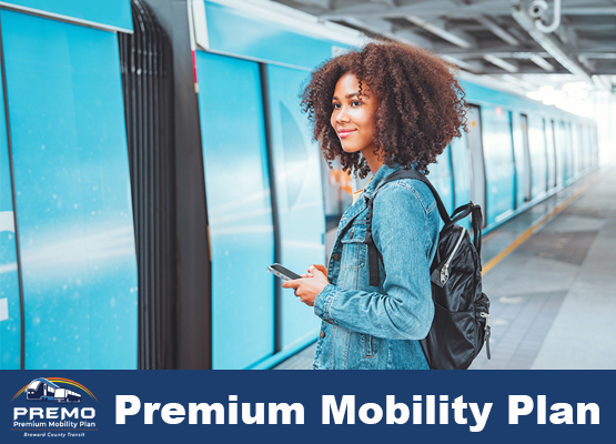 Documents and Reports