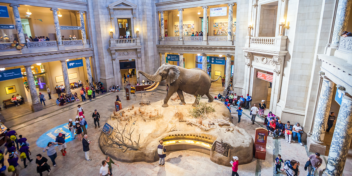 Virtual Tours Museum