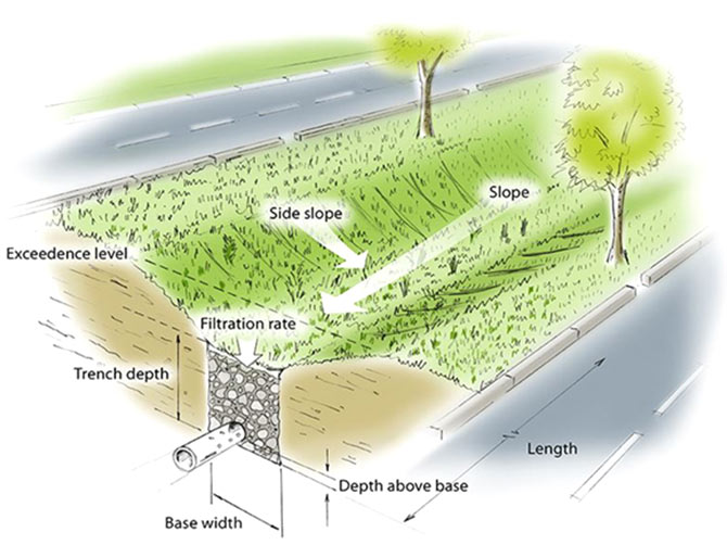 Green infrastructure can be designed as a bioswale to collect stormwater runoff from roadways and slowly filter it into the grou