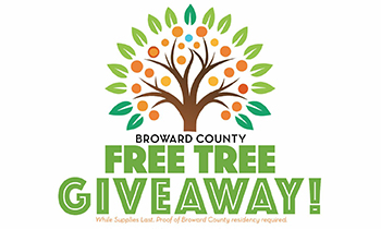 Broward County Free Tree Giveaway