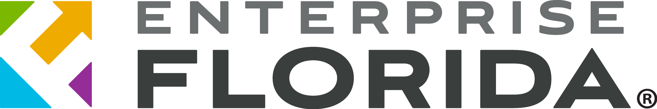 EFI Logo 2021.jpg
