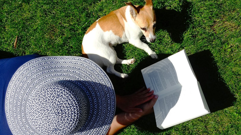 person wearing sun hat reading book on lawn next to small dog