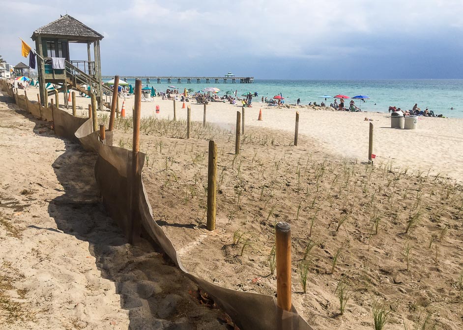 Phase 1 of Deerfield Beach at the start of planting new dunes.