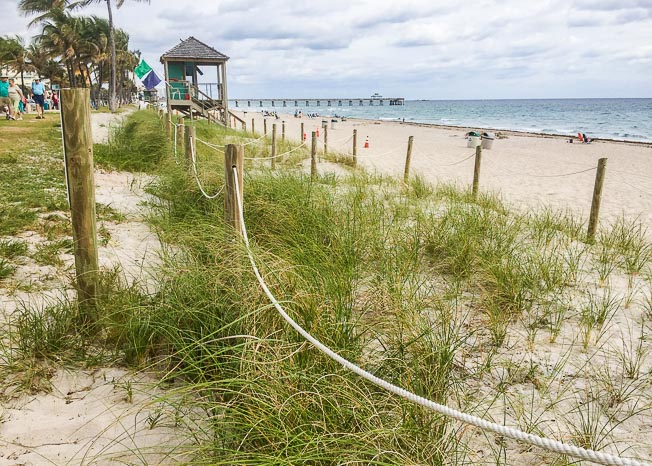Phase 1 of Deerfield Beach with some growth of the new dunes.