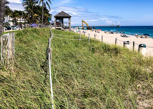 Phase 1 of Deerfield Beach with established dunes.