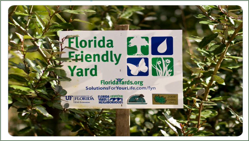 Naturescape Welcome To Naturescape Broward Naturescape Welcome To Naturescape Broward