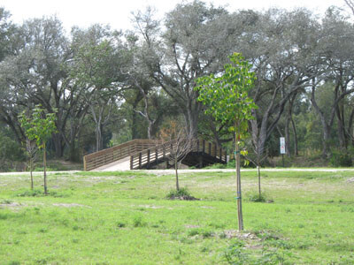 Tree Tops Park