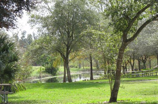 Tree Tops Park