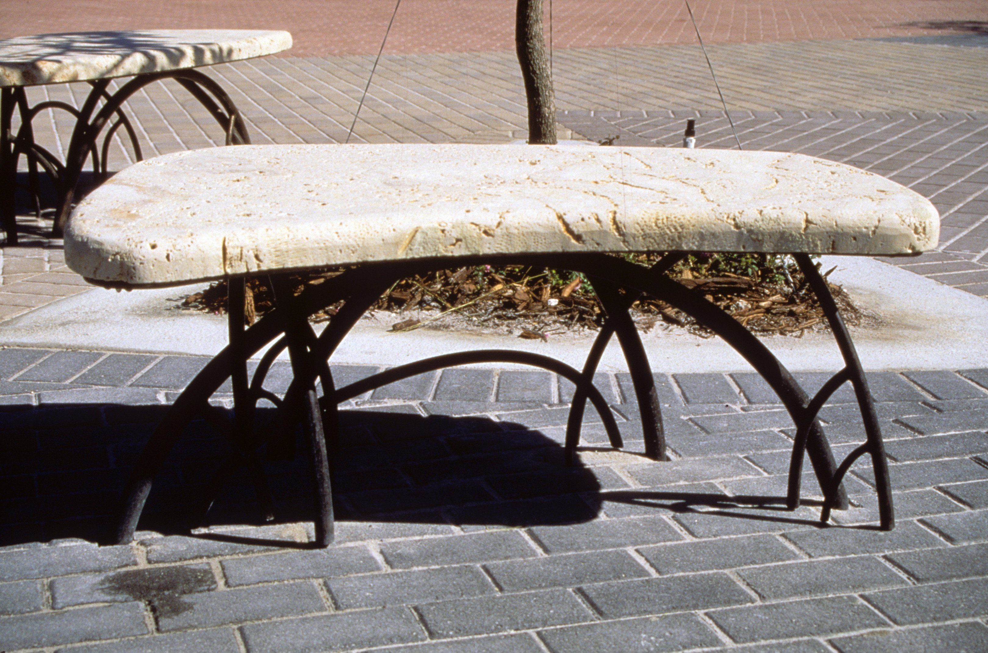 Mangrove Root Bench by Christine Federighi.jpg