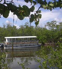 West Lake tour boat