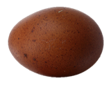 cuckoomaranegg.png