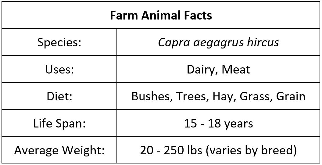 goat fact table.png