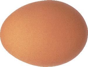 salmonfaverolleegg.png