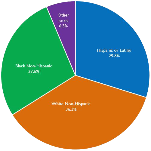 Race and Ethnicity of Residents