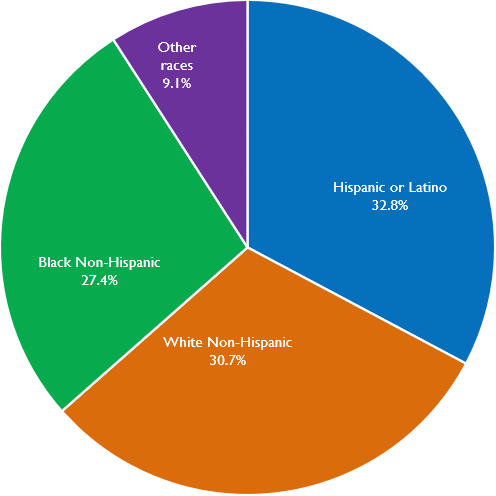 Race and Ethnicity of Residents.PNG