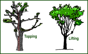 Topping/Hatracking
