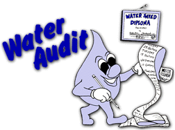 Water Audit