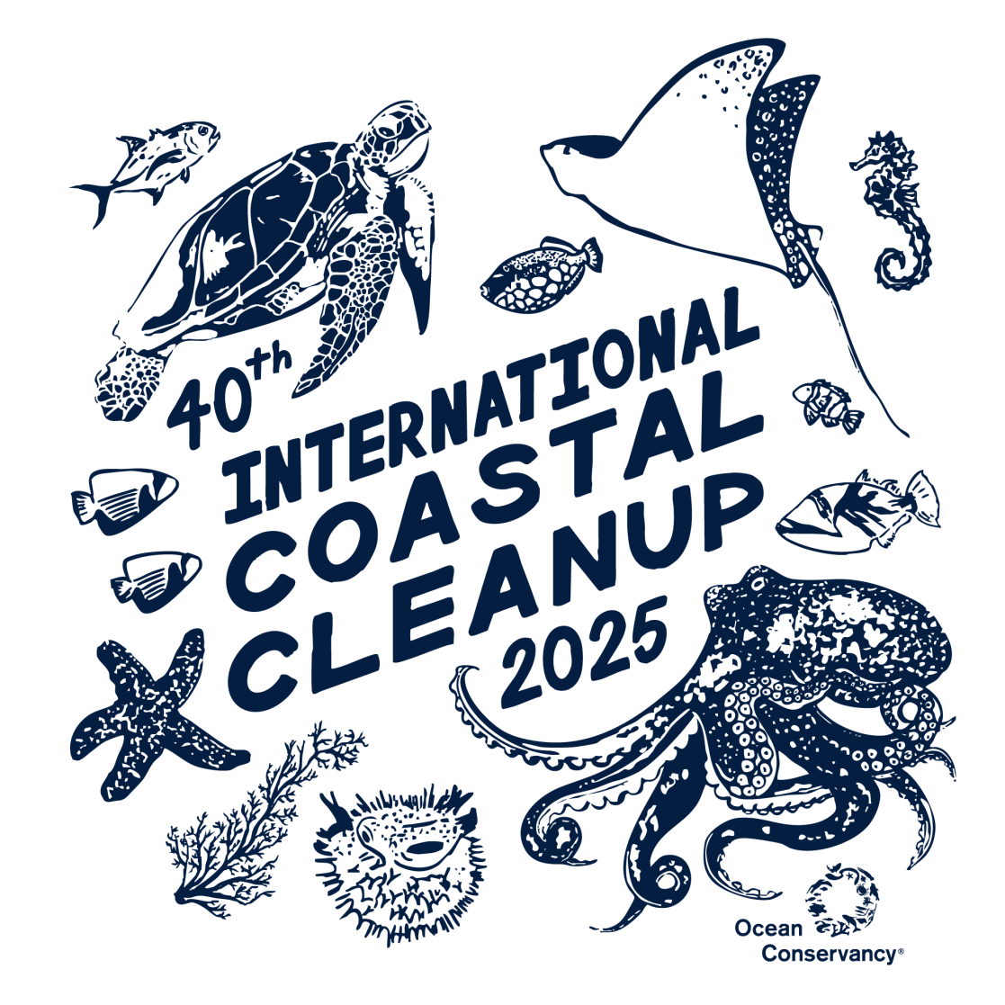 One color medium.jpg