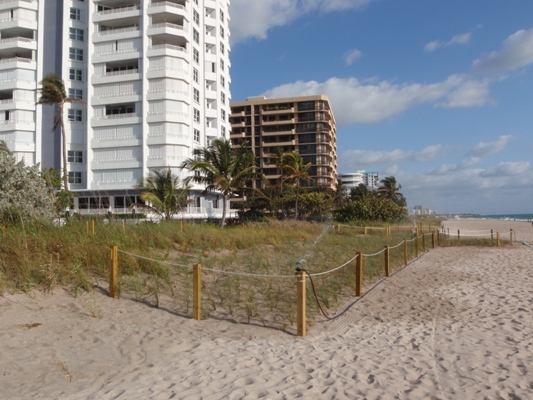 Dunes provide valuable protection from storm surge.