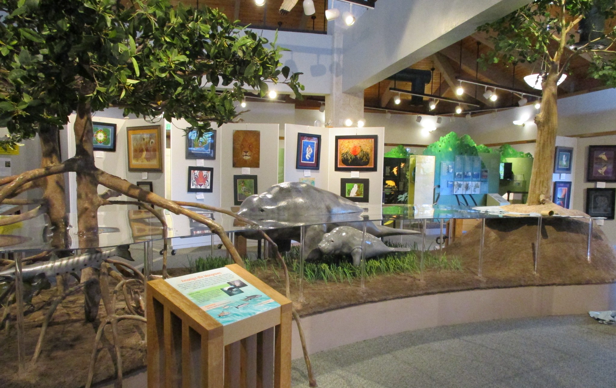 Exhibits at Anne Kolb Nature Center