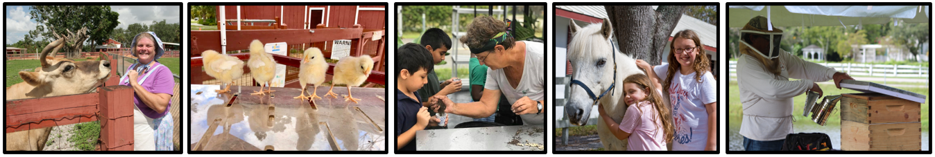 Trradewinds Farm Webpage Banner.png